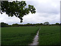 TM1037 : Footpath to Bluegate Lane by Geographer