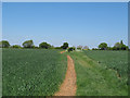 Path to Oak Road, Great Tey