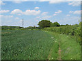 Footpath near America Farm, Earls Colne