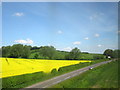 Rape Seed Field and A5127 Near Lichfield