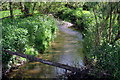 Gilwiskaw Brook by Swepstone Road