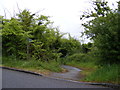 Bridleway to Coxhall Road