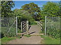 Footbridge, Blacwater River 