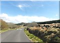 Cattle grid near Corlae