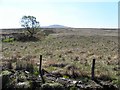 Doorat Townland