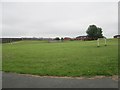 Playing Field - Pontefract Lane