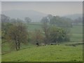 Countryside view near Sheen