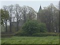 SK1161 : View to Sheen church among trees by Andrew Hill