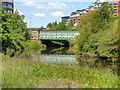 SE2933 : Monk Bridge, River Aire by David Dixon