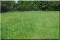 Footpath into Packington