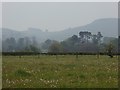 Valley fields and misty hills