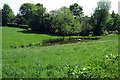 Pond by the footpath