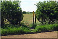 Footpath to Packington