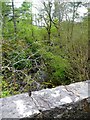 Looking downstream on the Inverarish Burn