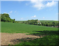 Dog Kennel Field