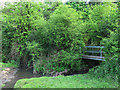 Footbridge over the River Eden