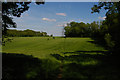 Footpath north of Downe