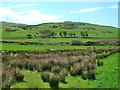 Glen Tig Farmland