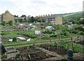 Allotments - Godfrey Road