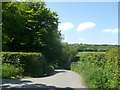 Road to Mountfield Park Farm