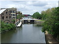 TQ3783 : River Lee near Stratford by Malc McDonald