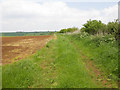 Field margin north east of Quarry Road