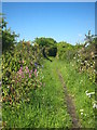 Public footpath at Wheal Vor