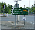TG2506 : Roadsign on the A146 Loddon Road by Geographer