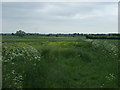 Farmland, Fiskerton