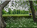 TL2308 : Garden, Hatfield House, Hertfordshire by Christine Matthews