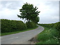 Lane towards Thimbleby