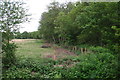 New fence alongside Raspberry Plantation