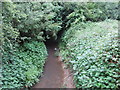 Ray Brook, Blindley Heath access land