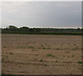 Field south of Dunston