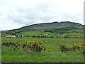 Countryside near Gort, Limavady