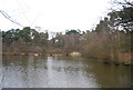 Basingstoke Canal