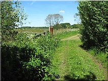 TM4592 : Path along the edge of the marshes at Aldeby by Evelyn Simak