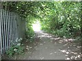 Footpath - Knowsthorpe Crescent