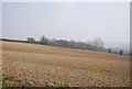 Chalky field near Hurst Farm