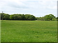 NY2460 : Fields near Glasson by David Purchase