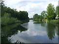 River Lea near Hoddesdon