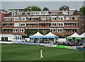 Watching cricket at Hove