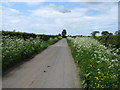 Minor road at Lomglands Moor