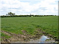 NY2652 : Fields east of Gamelsby by David Purchase