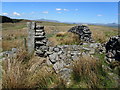 SD7560 : Dry Stone Walls on Brown Hills by Chris Heaton