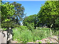 A country churchyard, St Michaels Winterbourne