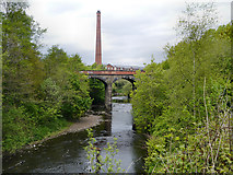 SJ9398 : Railway Viaduct over the River Tame by David Dixon