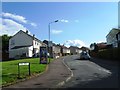 Hill Drive Eaglesham