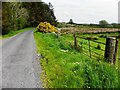 Napple Road, Ballykeery