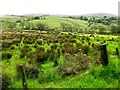 Ballykeery Townland